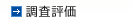 調査評価